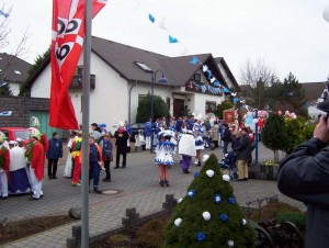 Prok16