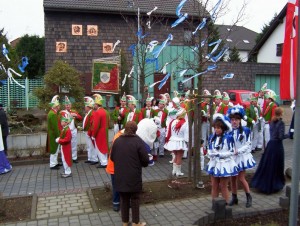 Prok17
